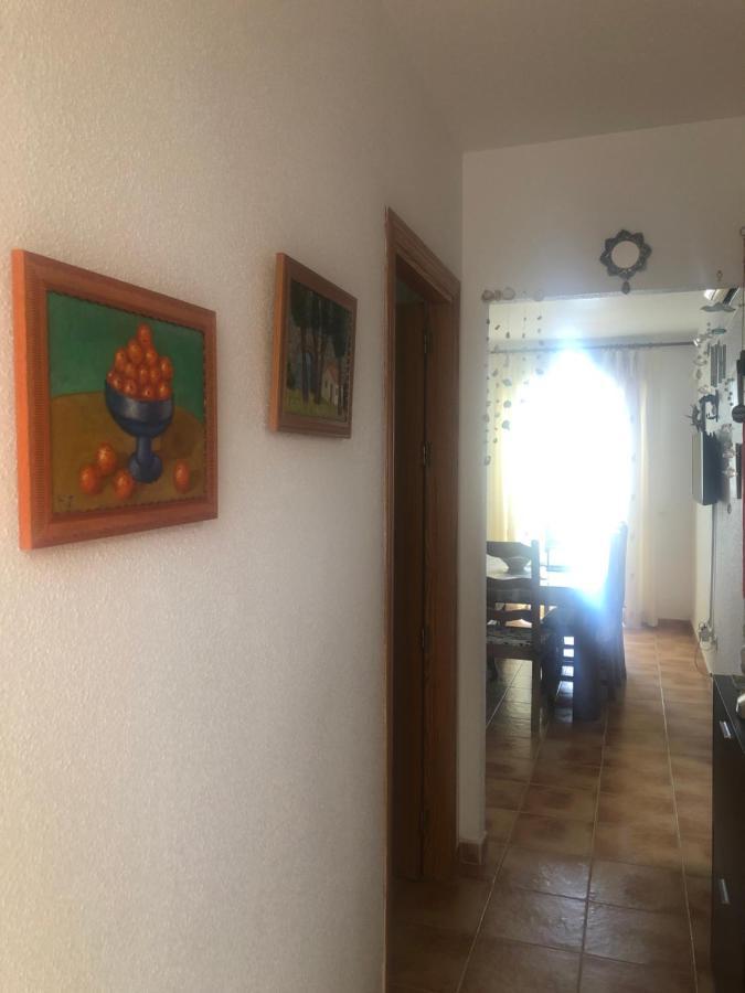 Catalina Apartment San José